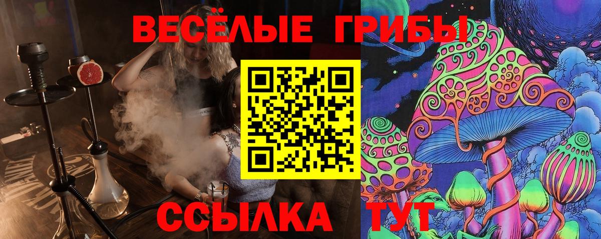 Псилоцибиновые грибы Psilocybe  Вход с VPN  Галлюциногенные грибы мухоморы  Малгобек 